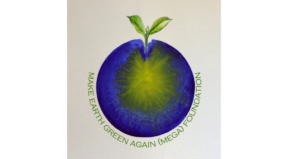 Mega Foundation Logo